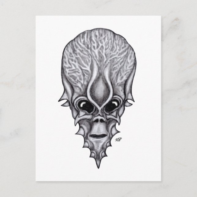Alien Face , African Skull Facial Reconstruction Postcard (Front)