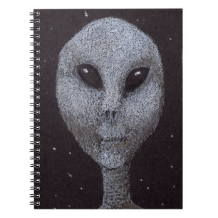 Alien Greys Notebook