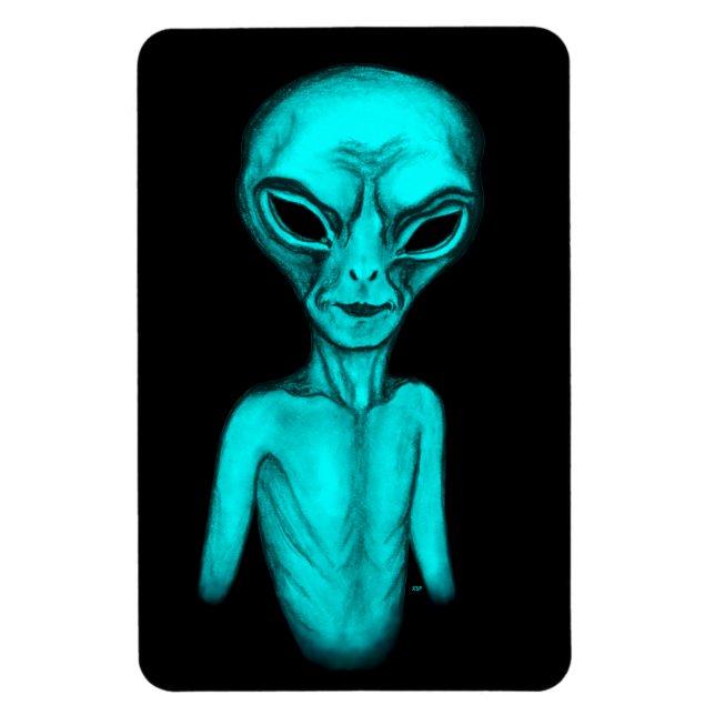 Alien , I want to believe Magnet (Vertical)