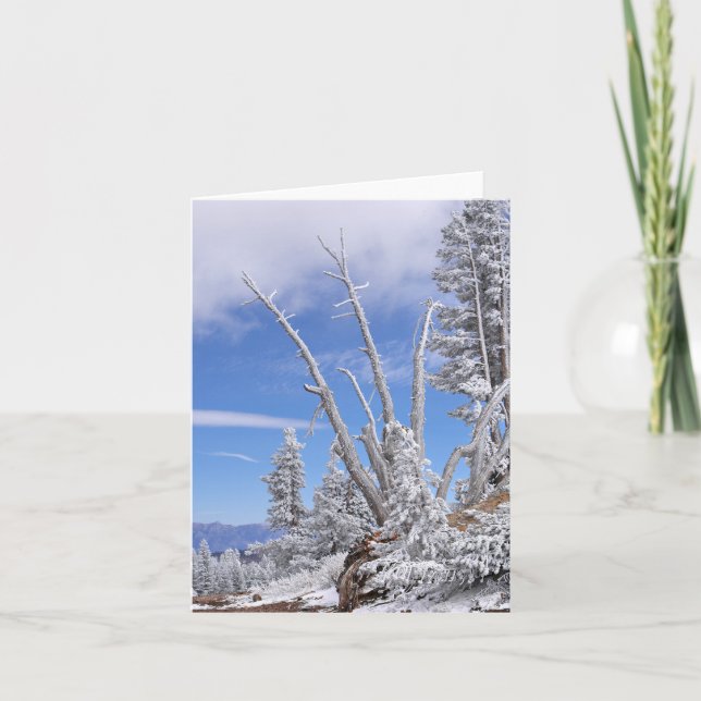 Alien Lifeform Card (Front)