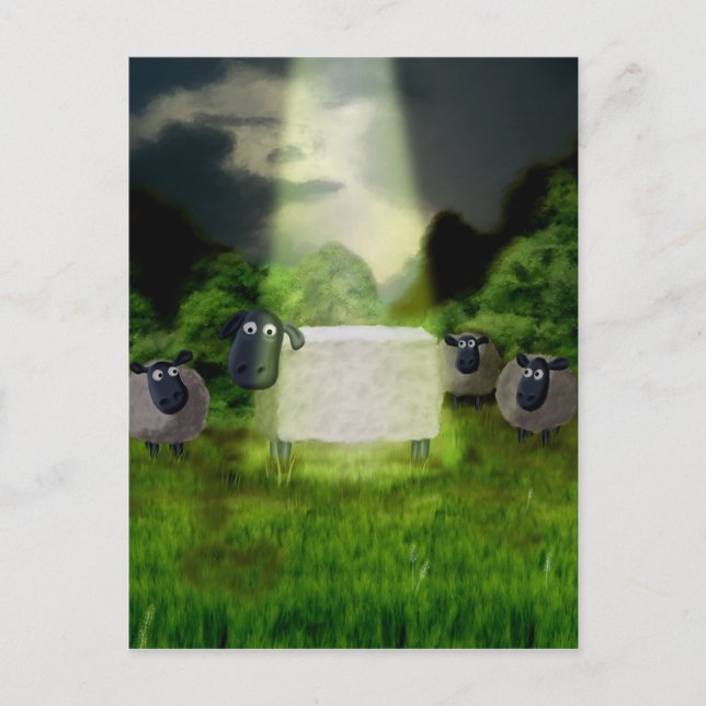 Alien Sheep Experiment Postcard (Front)