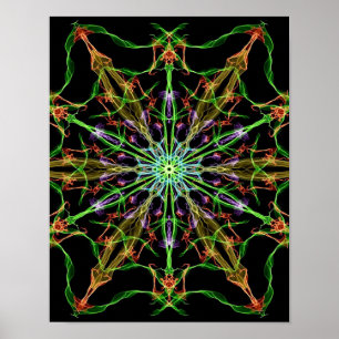 Alien Spider Web Mandala   Spider Gifts Poster
