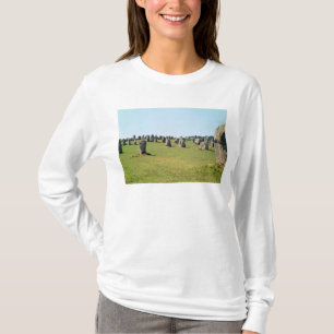 Alignment of standing stones, Megalithic T-Shirt