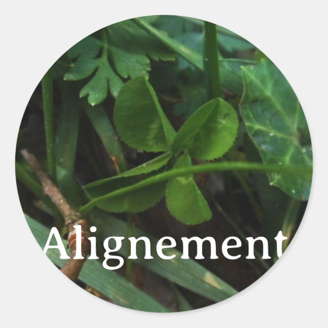 'Alignment' Sticker (Front)