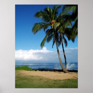 Ali'i Beach 19 Poster