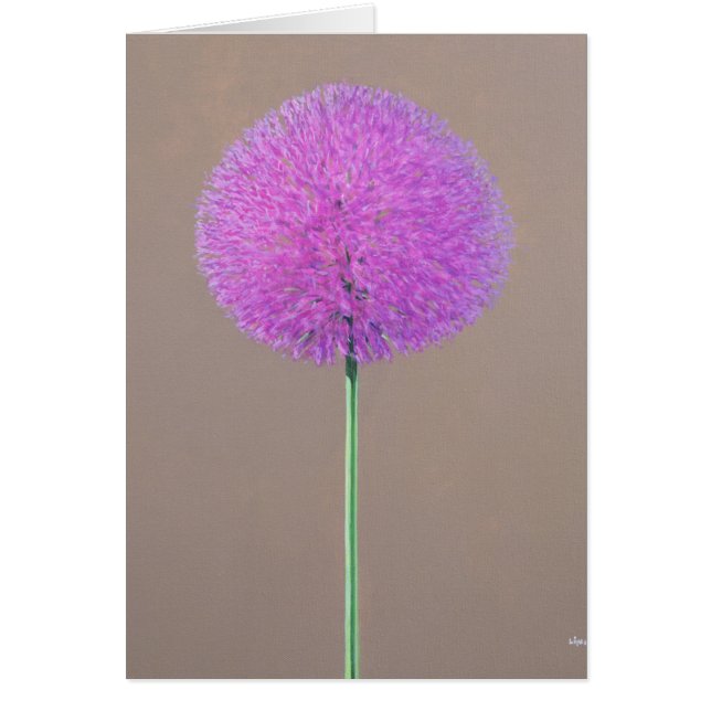 Alium (Front)