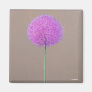 Alium Magnet