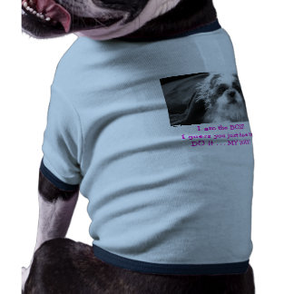 all about Cutesie Shirt