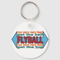 All about Flyball