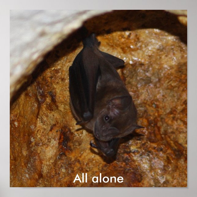 All alone poster (Front)