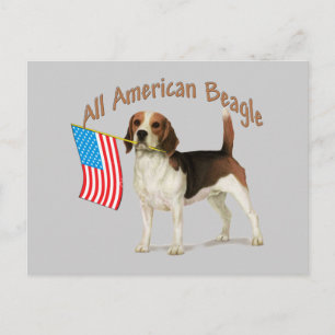 All American Beagle gifts Postcard