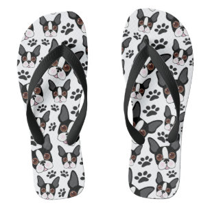 All American Boston Terrier Pet Puppy Dog Thongs