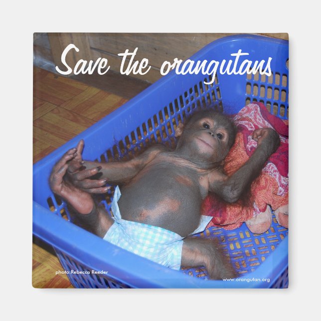 All Babies Need Love Magnet (Front)