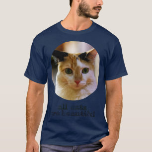 all cats are beautiful 5 T-Shirt