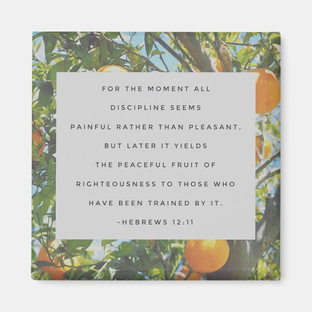 All Discipline Magnet (Front)