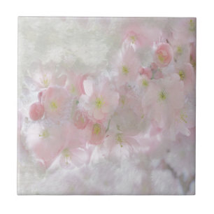 All Dreams in Pink Tile