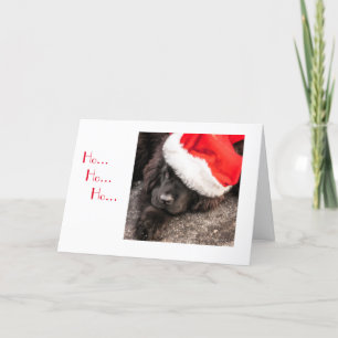 All Dressed for Christmas Holiday Card