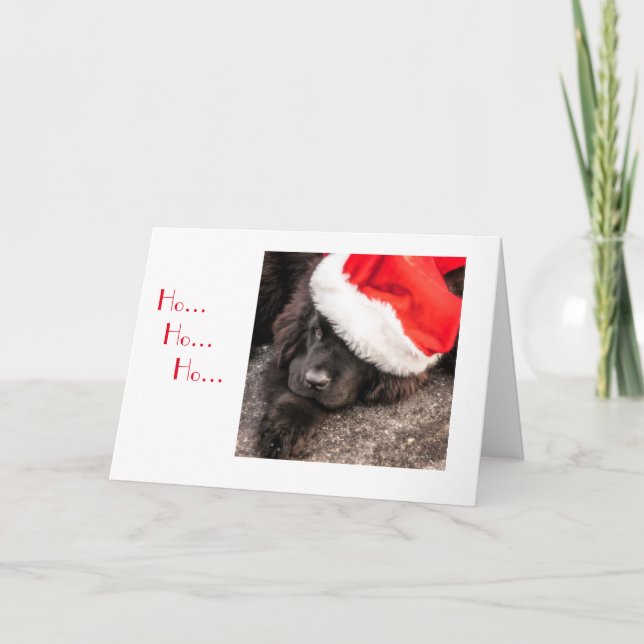 All Dressed for Christmas Holiday Card (Front)