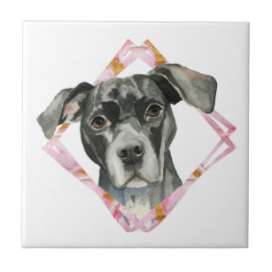 "All Ears" 2 Pit Bull Dog Watercolor Painting Ceramic Tile