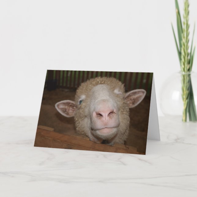 All Ears Card (Front)