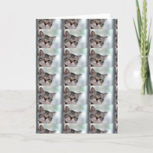 ALL EYES ARE ON YOU-HAPPY BIRTHDAY SAYS KITTY CARD