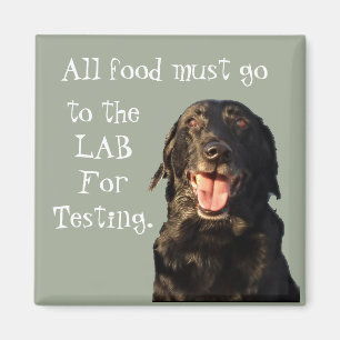 All food must go to the Lab refrigerator magnet. Magnet