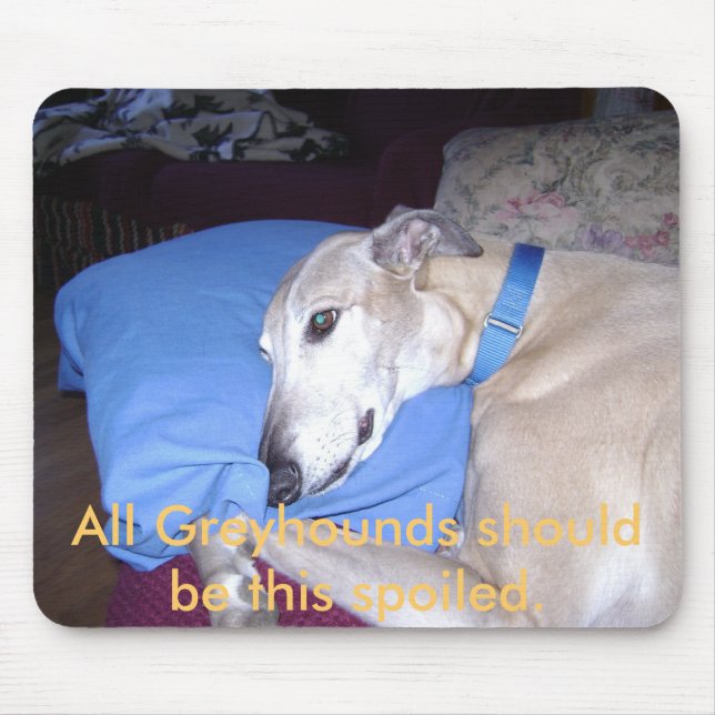 All Greyhounds should be this spoiled. Mouse Pad (Front)
