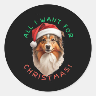 All I Want For Christmas! For Shetland Sheepdog Do Classic Round Sticker