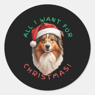 All I Want For Christmas! For Shetland Sheepdog Do Classic Round Sticker