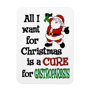 All I Want For Christmas...Gastroparesis Magnet