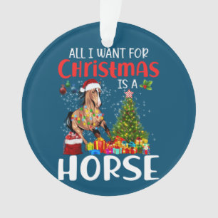 All I Want For Christmas Is A Horse Funny Horse Ornament