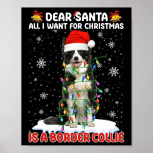 All I Want For Christmas Is Border Collie Santa Do Poster