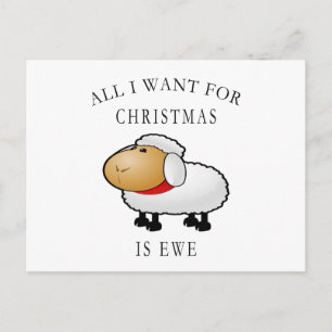 All I Want For Christmas Is Ewe Holiday Postcard