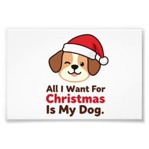All I Want for Christmas Is My Dog Art Photo Print