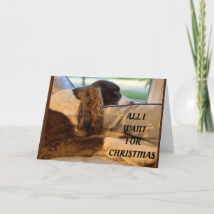 ALL I WANT FOR CHRISTMAS IS TO SEE *YOU* HOLIDAY CARD