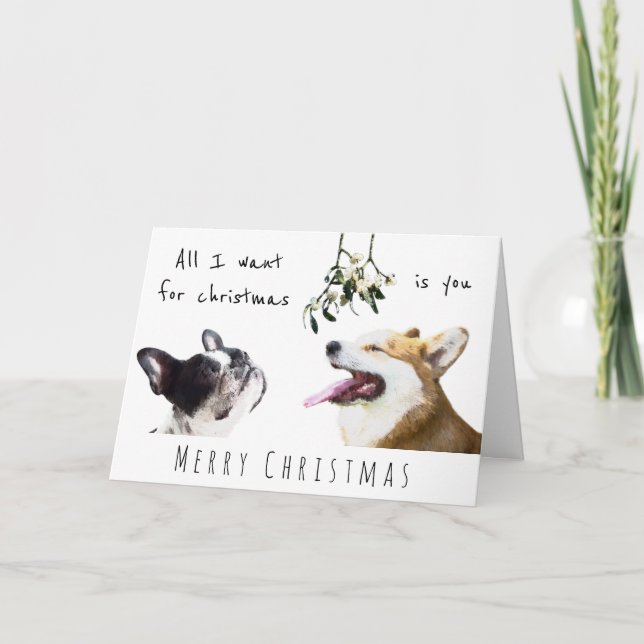 All I want for christmas is you dog love mistletoe Card (Front)