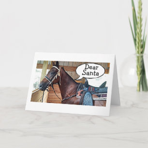 ALL I WANT FOR CHRISTMAS IS YOU & SOME HAY & OATS HOLIDAY CARD
