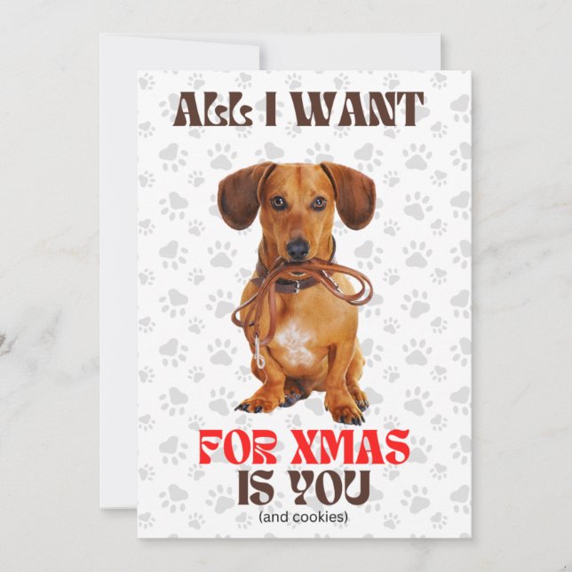 All i Want for Xmas Funny Doxie Leash  Holiday Card (Front)