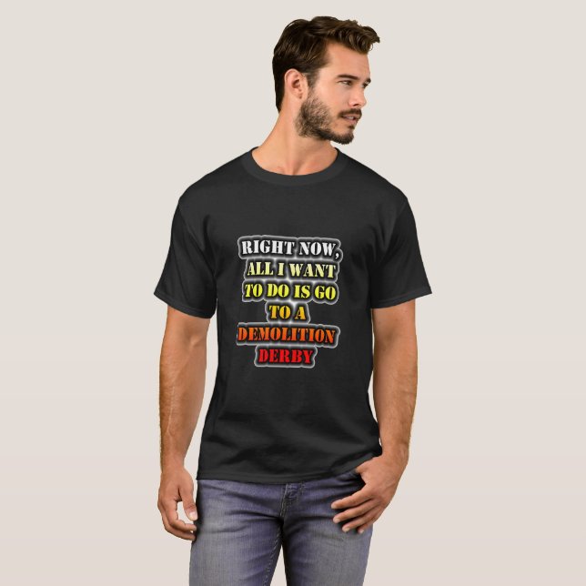 All I Want To Do Is Go To A Demolition Derby T-Shirt (Front Full)