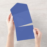 All-in-One Wedding Invitations | RSVP. Logo. Scrip