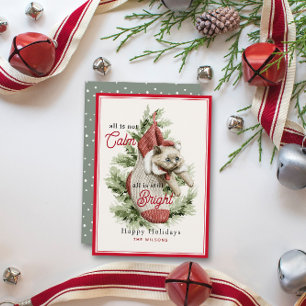 All Is Not Calm Funny Cat in Stocking Christmas Holiday Card