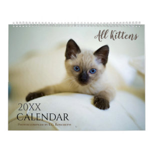All Kittens Cute 2025 Wall Calendar Gift Cats