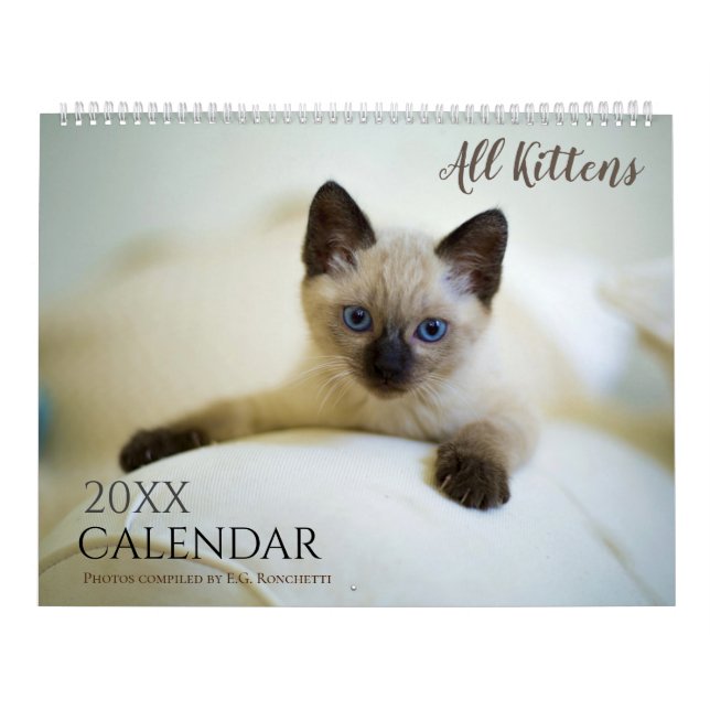 All Kittens Cute 2026 Wall Calendar Gift Cats (Cover)