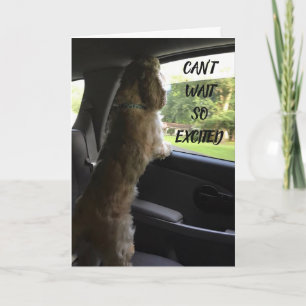 ALL MY LOVE ***HAPPY BIRTHDAY** CARD