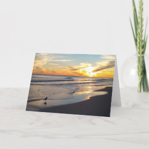 All Occasion Card - Blank Inside