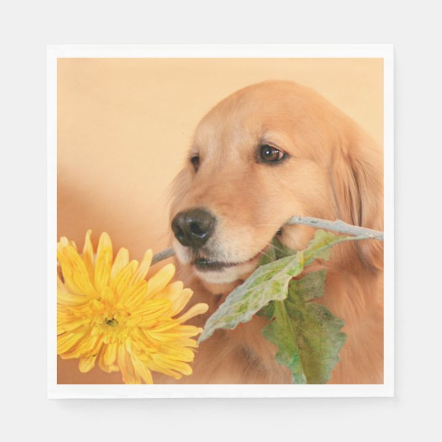 All Occasion Golden Retriever Dog With Flower Napkin (Front)