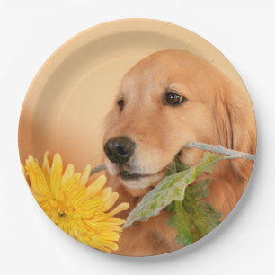 All Occasion Golden Retriever Dog With Flower Paper Plate