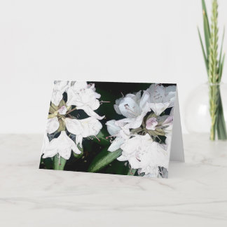 All Occasion Greeting Card (Blank Inside)