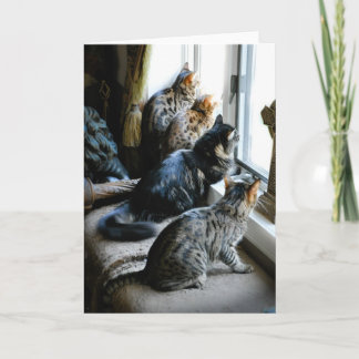 All Occasion Greeting Card - Cats at Window