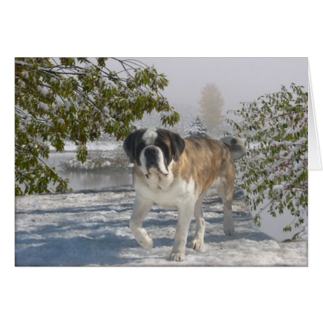 All occasion gretting card (Front Horizontal)